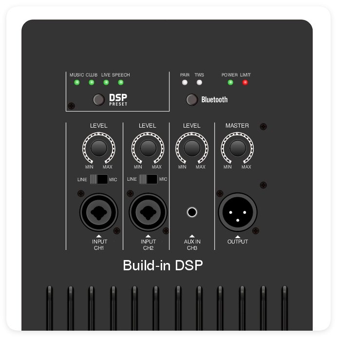 DSP2509 DSP'li Yüksek Maliyet Performanslı Çok Fonksiyonlu AB Sınıfı Amplifikatör